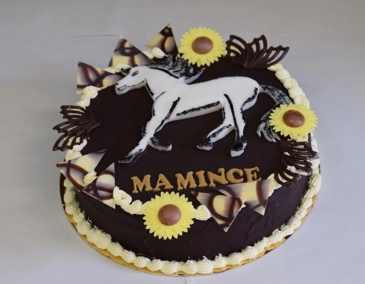 5fa3d8606535e.webp