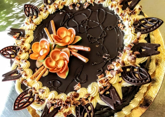 5fa56b1ca9182.webp
