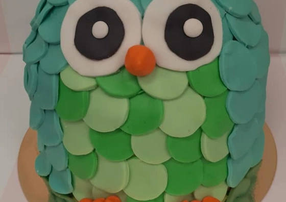 5fb231a323a9e.webp