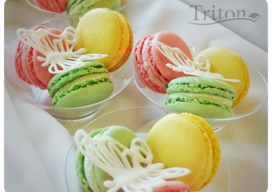 5fb273dc47685.webp